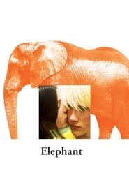 Elephant hd