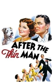 After the Thin Man hd