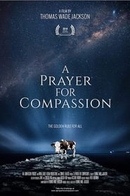 A Prayer for Compassion hd