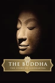 The Buddha HD