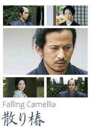 Falling Camellia hd