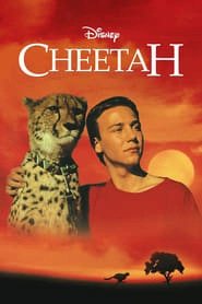 Cheetah hd