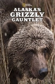 Alaska's Grizzly Gauntlet hd
