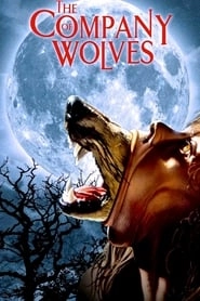 The Company of Wolves hd