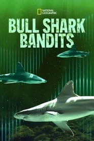 Bull Shark Bandits HD