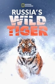 Russia's Wild Tiger hd