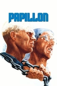 Papillon hd