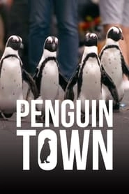 Penguin Town hd