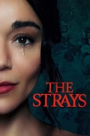 The Strays hd