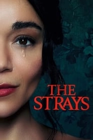 The Strays HD