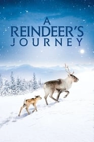 A Reindeer's Journey hd