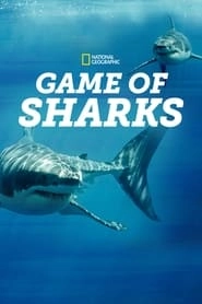 Game of Sharks hd