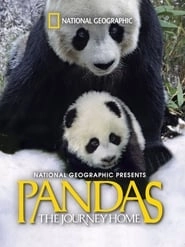 Pandas: The Journey Home HD