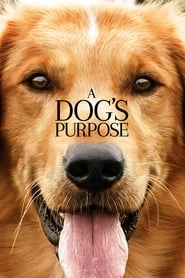 A Dog's Purpose hd