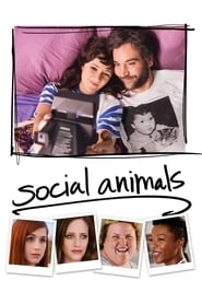 Social Animals hd