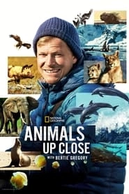 Animals Up Close with Bertie Gregory hd