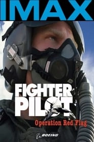 Fighter Pilot: Operation Red Flag hd