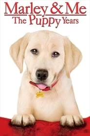 Marley & Me: The Puppy Years hd