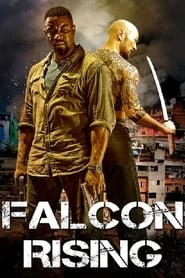 Falcon Rising hd