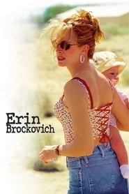 Erin Brockovich hd