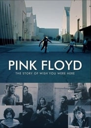 Pink Floyd : The Story of Wish You Were Here hd