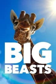 Big Beasts hd