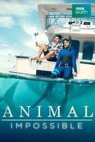 Watch Animal Impossible