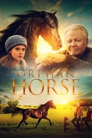 Orphan Horse hd