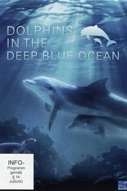 Dolphins in the Deep Blue Ocean hd
