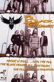 The Black Crowes - Freak 'n' Roll... Into the Fog hd