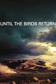 Until The Birds Return hd