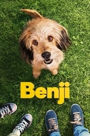 Benji hd