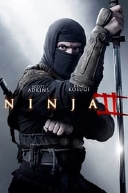 Ninja: Shadow of a Tear hd