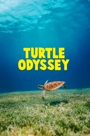 Turtle Odyssey hd