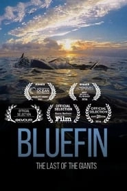 Bluefin hd