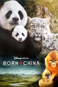 Born in China hd