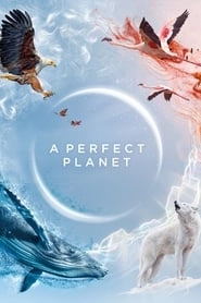 A Perfect Planet hd