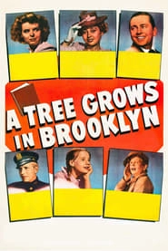A Tree Grows in Brooklyn hd