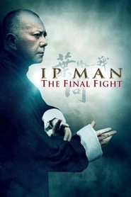 Ip Man: The Final Fight hd