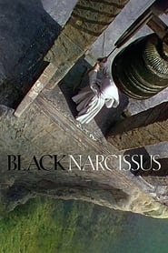 Black Narcissus hd