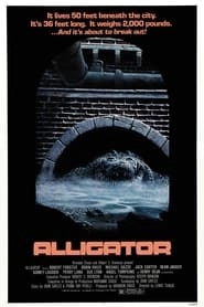 Alligator hd
