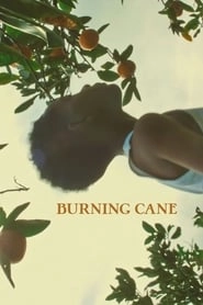 Burning Cane hd