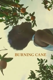 Burning Cane HD