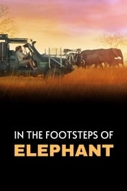 In the Footsteps of Elephant hd