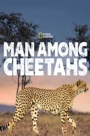 Man Among Cheetahs hd