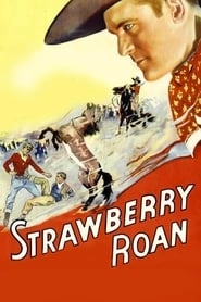 Strawberry Roan hd