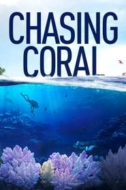 Chasing Coral hd