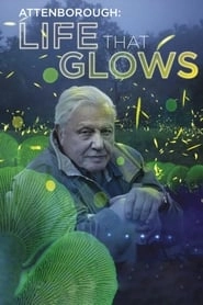 Attenborough's Life That Glows hd