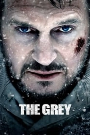 The Grey hd