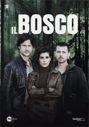 Il Bosco hd